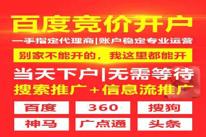 搜索引擎营销（SEM）公司某某的客户成功故事